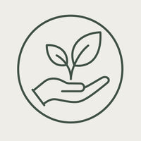 Icon 3