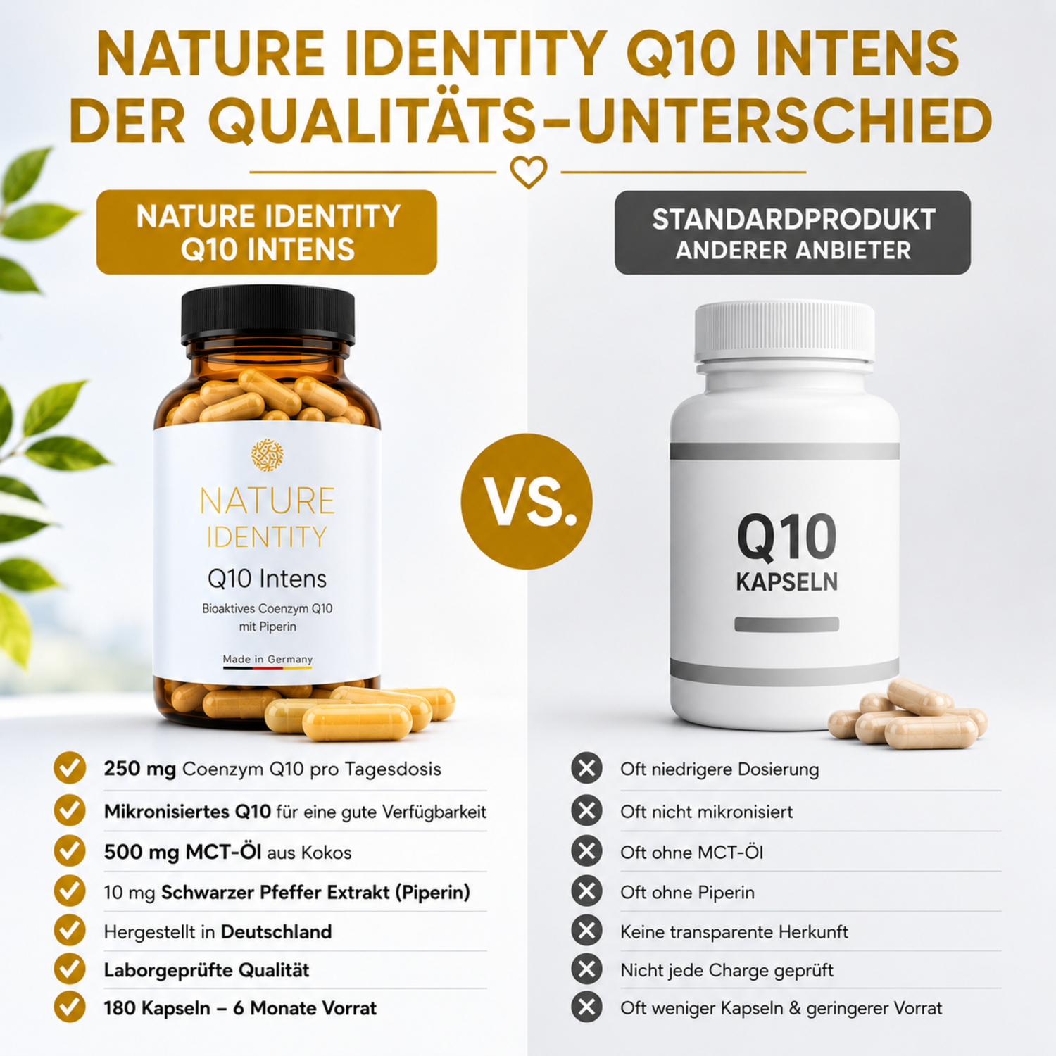 Q10 Intens