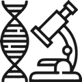 Wissenschaftlich fundiertes Wellness