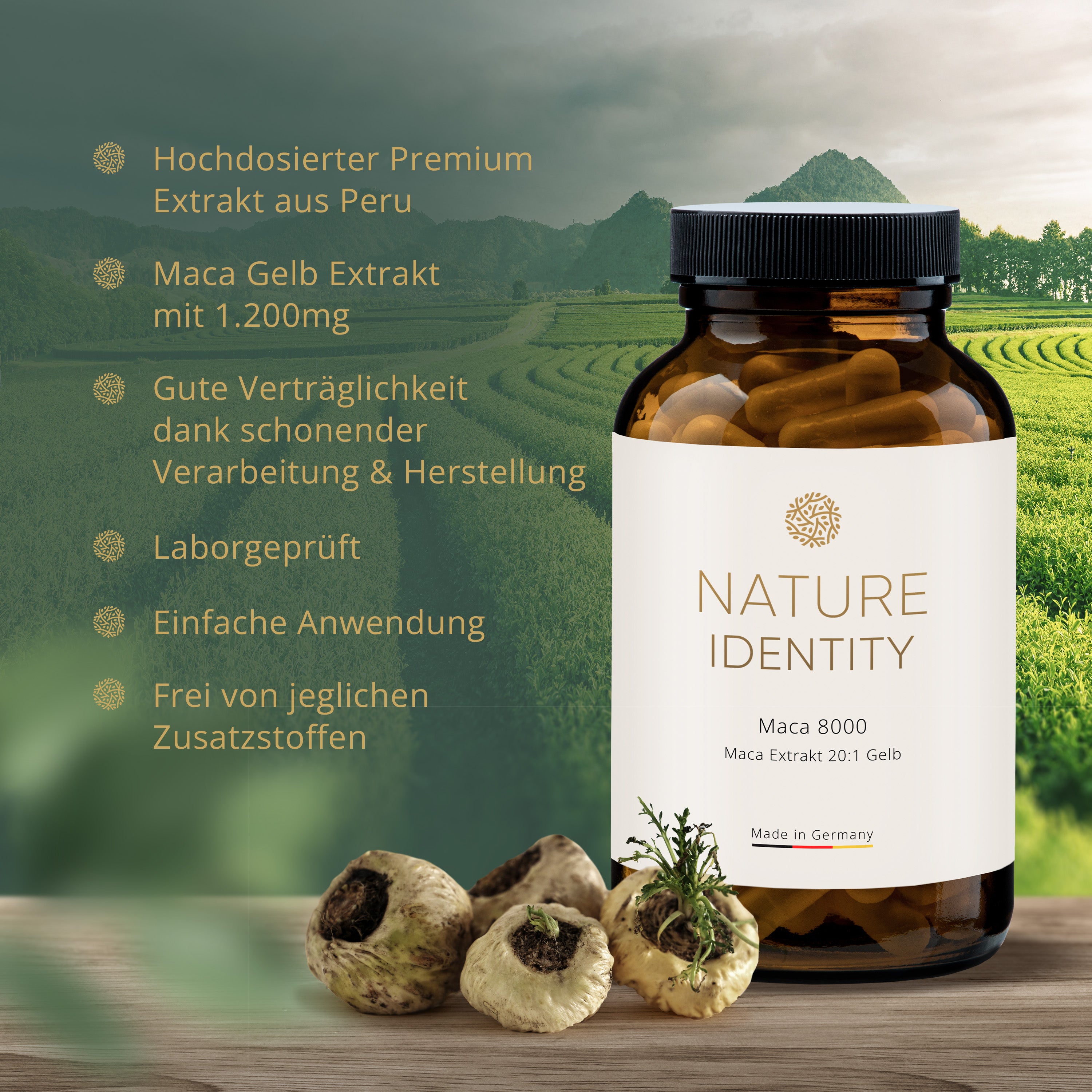 Maca 20:1 Extrakt