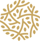 Nature Identity Logo
